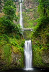 Fototapeta premium Multnomah Falls, Oregon