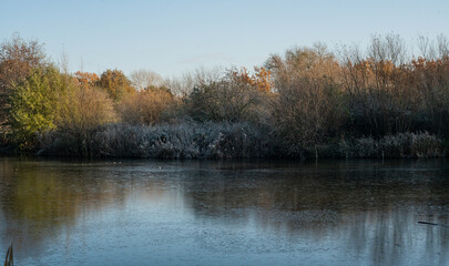 Fototapeta na wymiar Lake view on a cold winter morning. Frost, vegetation