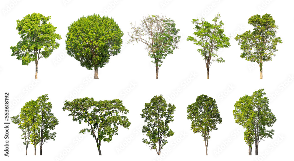Poster Collection of green trees isolated on transparent background. for easy selection of designs.