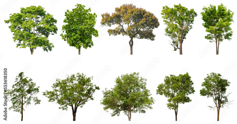 Aufkleber collection of green trees isolated on transparent background. for easy selection of designs.