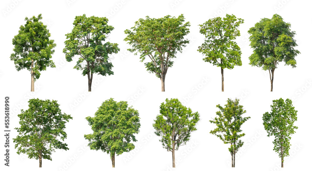 Aufkleber collection of green trees isolated on transparent background. for easy selection of designs.