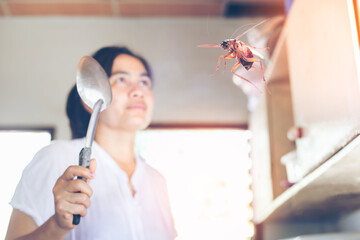 The woman is going to hit cockroaches in the kitchen. Cockroaches are flying into the house.