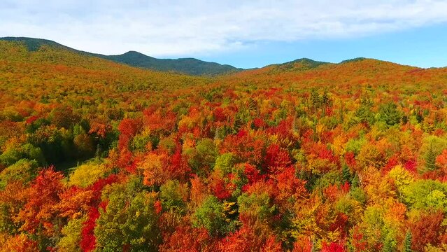 Aerial flying over stunning Vermont peak fall hills and mountains