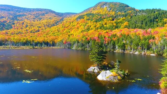 Aerial fly over small island with lone pine tree on New Hampshire Lake surrounded by peak fall foliage mountains