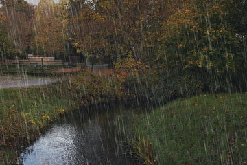 Beautiful park with autumn trees and river on rainy day