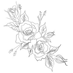 Hand Drawn Botanical Flowers line art.