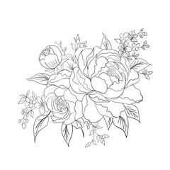 Wild rose flowers drawing and sketch with line-art.