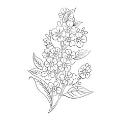 Botanical arts. Hand drawn continuous line drawing of abstract flower, floral, rose, tropical.