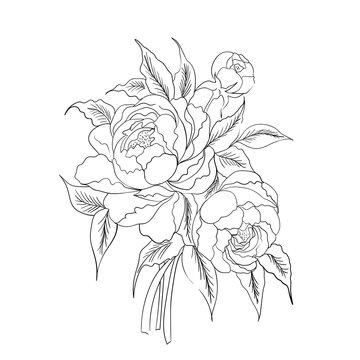 flower drawing and sketch with black and white line-art.