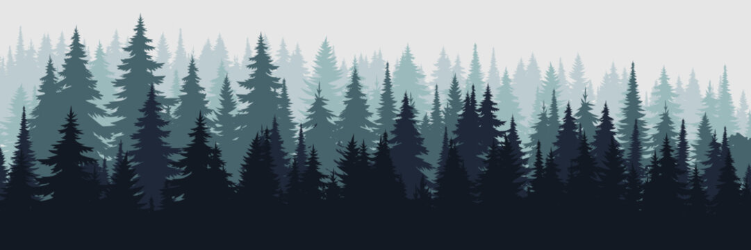 Mountain Forest Background Texture Vector Illustration, Silhouette Of Coniferous Forest. Fir Trees Covered In Fog. Horizontal Landscape