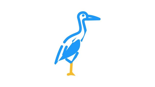 crane bird color icon animation