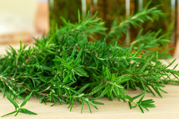 A bunch of organic rosemary for oil infusing and cooking 