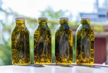 Easy homemade rosemary infused olive oil for cooking and soap making in glass bottles