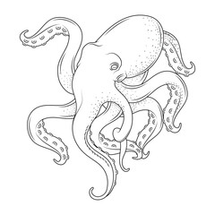 octopus sealife sketch style