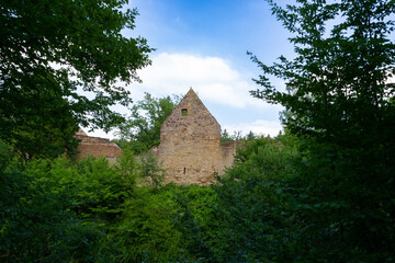 Fototapeta na wymiar an old german castle in green forest