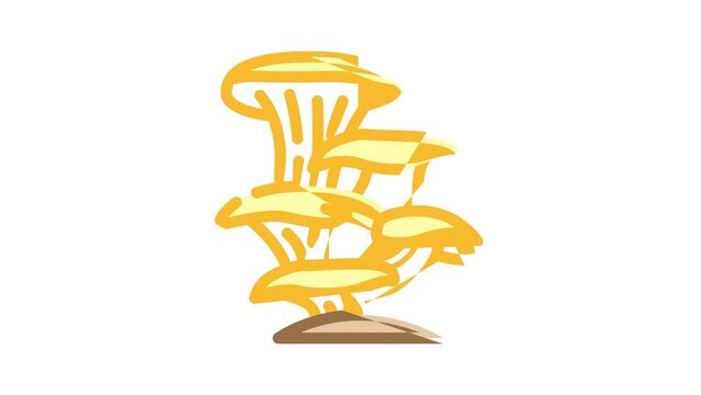 oyster mushroom color icon animation