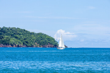 sailboat on the sea