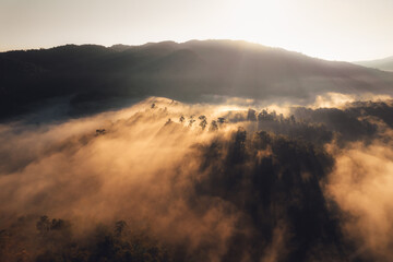 Fototapeta na wymiar Sunrise in the forest,Orange light through morning fog in forest, high angle view