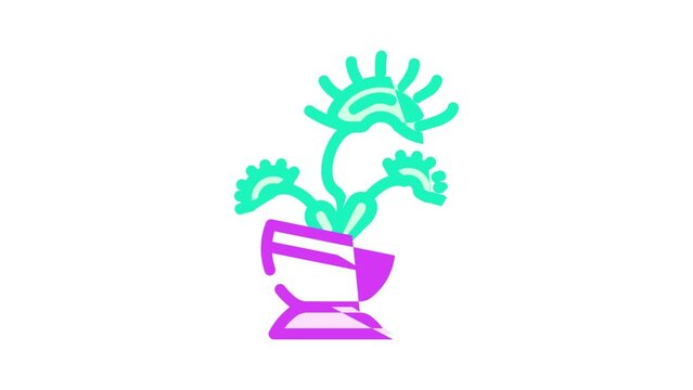 venus flytrap color icon animation