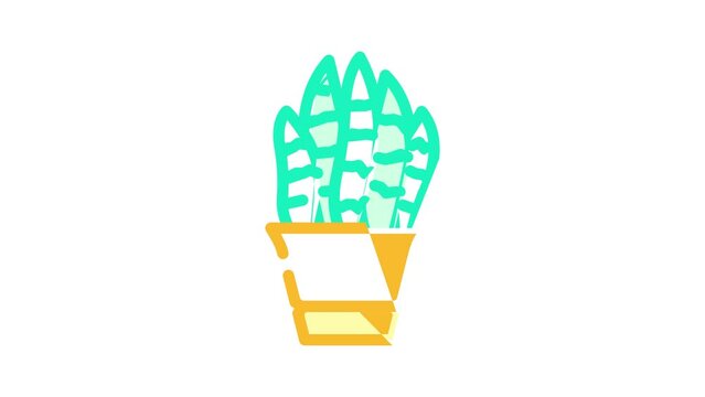 sansevieria trifasciata color icon animation