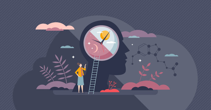 Circadian sleep rhythm with inner cycle for daily routine tiny person concept. Day and night inner balance for healthy melatonin, serotonin and cortisol stages vector illustration. Mental clock time.