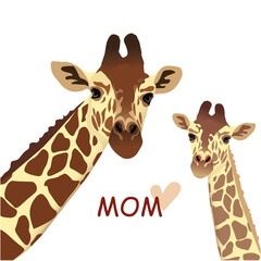 Giraffe baby with mom