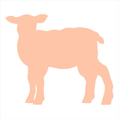 Pink Sheep baby