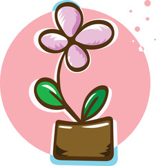 pink flower in a pot