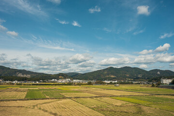 広い田園風景