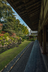 長い日本庭園