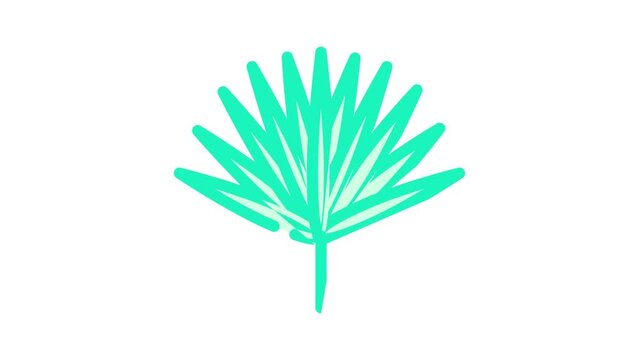 chamaerops tropical leaf color icon animation