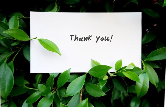 A white paper note in the tree bush , with text written  THANK YOU! to express the gratitude feeling.