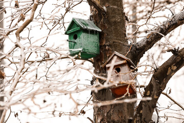 Birdhouses on icy tree in winter park