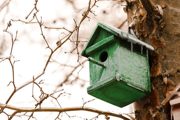 Birdhouse on icy tree in winter park