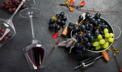 Bottle of red wine with a corkscrew. On a dark background.