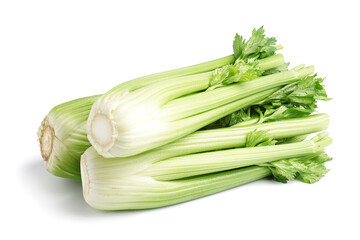 Fresh green celery isolated on white background