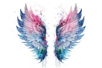 Foto op Plexiglas Beautiful magic watercolor angel wings © vuang