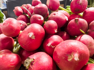 Fresh radish in the supermarket. Vegetables and fruits exposed for consumer choice. Brazilian hortifrutti