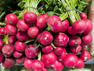 Fresh radish in the supermarket. Vegetables and fruits exposed for consumer choice. Brazilian hortifrutti