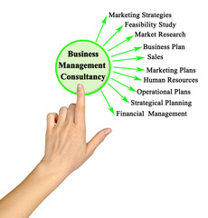 Target Fields for Business Management Consultancy