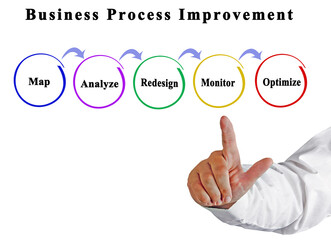 Steps in Business Process Improvement