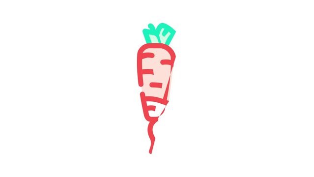 long radish color icon animation