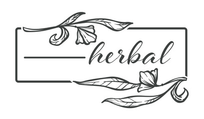 Herbal floral design, flower monochrome sketch outline vector