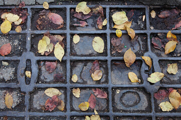 Manhole cover for drainage of rainwater on asphalt in city covered with fallen autumn leaves.  Graphics, mosaic, minimalism.  Concept of seasonality, work of city communal services. Copy space