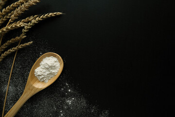 Close-up golden ears of wheat, a spoon and scattered flour on a black background with a copy space