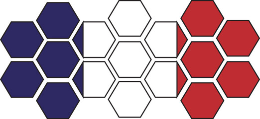 hexagons with the french flag