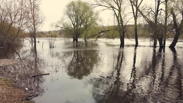 Beautiful spring flood, river overflow, flooded trees, aerial view. Snow is melting, high water levels, flooded banks, fields, trees. Warm cloudy day, soft light. UHD 4K.