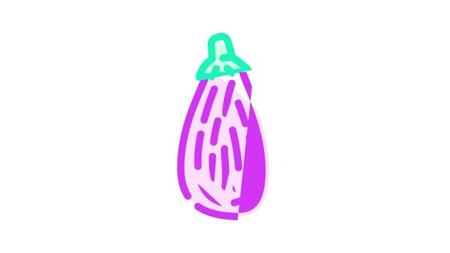 striped eggplant color icon animation