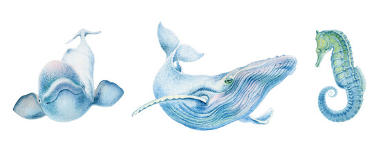 watercolor drawing depicting a cute dolphin, whale and seahorse on a white background - obrazy, fototapety, plakaty