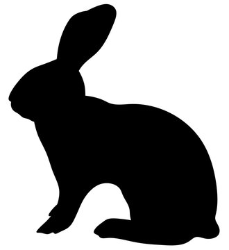 Silhouette of a sitting rabbit. Isolated hare. Pet.